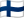 Finnish language