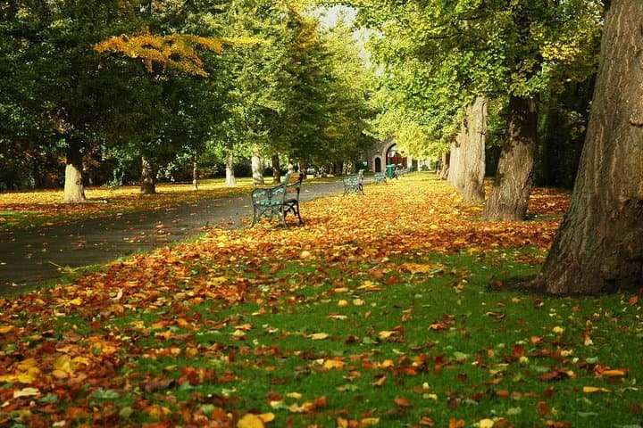 Cardiff Day Tour from London photo highlight 6