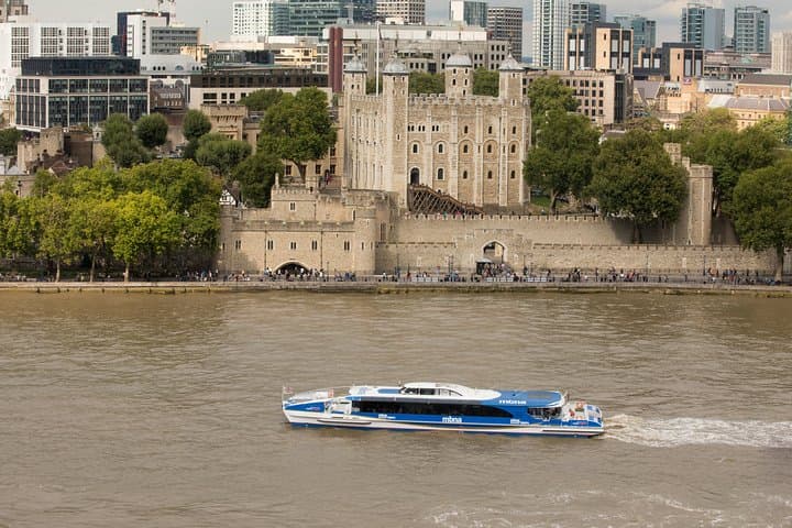 Buckingham Palace and Vintage Bus Tour of London photo highlight 11