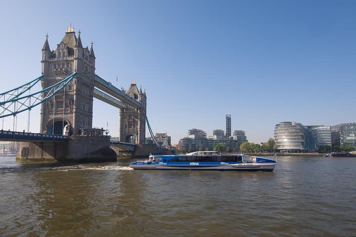 Buckingham Palace and Vintage Bus Tour of London photo highlight 13