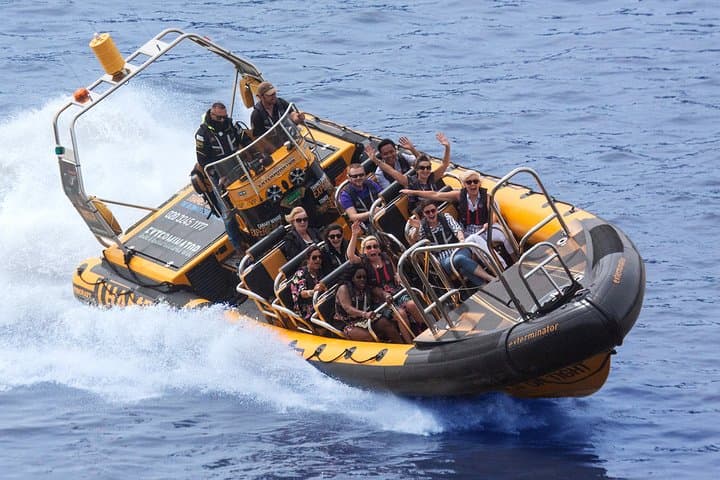 PRIVATE HIRE SPEEDBOAT 'THAMES BARRIER EXPERIENCE - 70 minutes from Embankment gallery photo 4